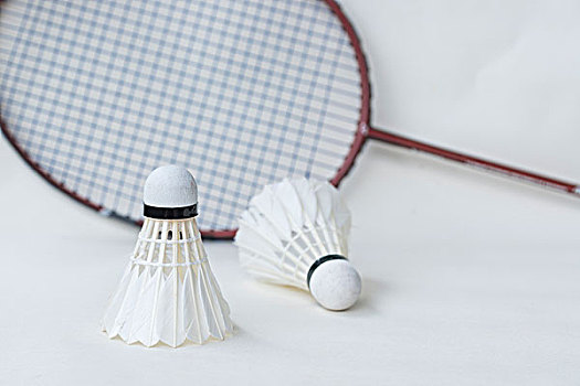 他们有足够 他们有足够